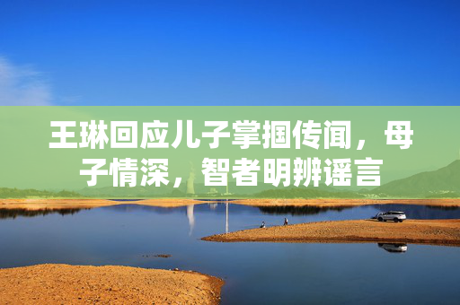 王琳回应儿子掌掴传闻，母子情深，智者明辨谣言