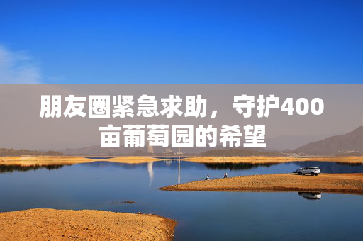 朋友圈紧急求助，守护400亩葡萄园的希望
