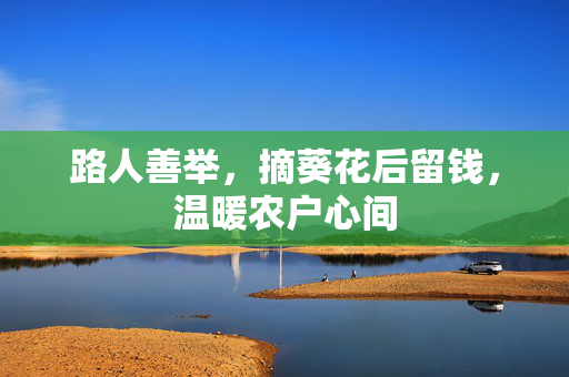 路人善举，摘葵花后留钱，温暖农户心间