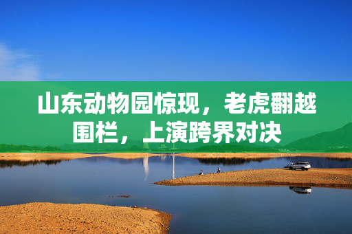 山东动物园惊现，老虎翻越围栏，上演跨界对决