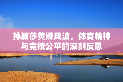 孙颖莎黄牌风波，体育精神与竞技公平的深刻反思
