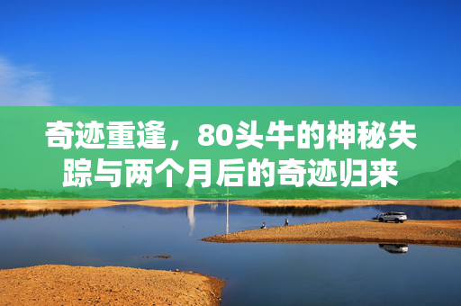 奇迹重逢，80头牛的神秘失踪与两个月后的奇迹归来