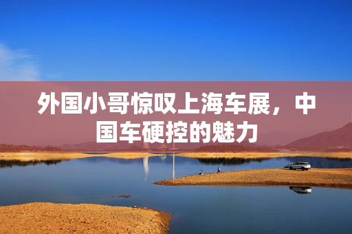 外国小哥惊叹上海车展，中国车硬控的魅力