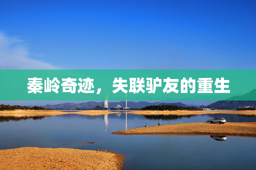 秦岭奇迹，失联驴友的重生