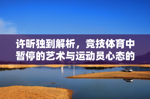 许昕独到解析，竞技体育中暂停的艺术与运动员心态的微妙平衡