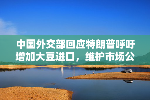 中国外交部回应特朗普呼吁增加大豆进口，维护市场公平与开放