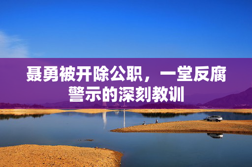 聂勇被开除公职，一堂反腐警示的深刻教训