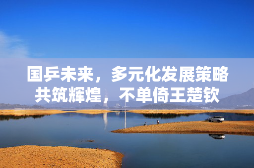 国乒未来，多元化发展策略共筑辉煌，不单倚王楚钦