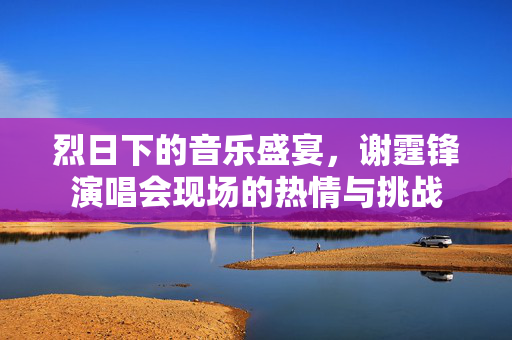烈日下的音乐盛宴，谢霆锋演唱会现场的热情与挑战