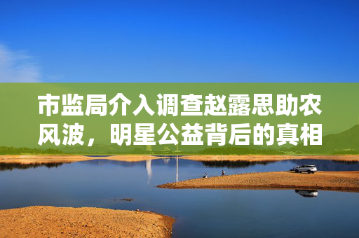 市监局介入调查赵露思助农风波，明星公益背后的真相与公众反思