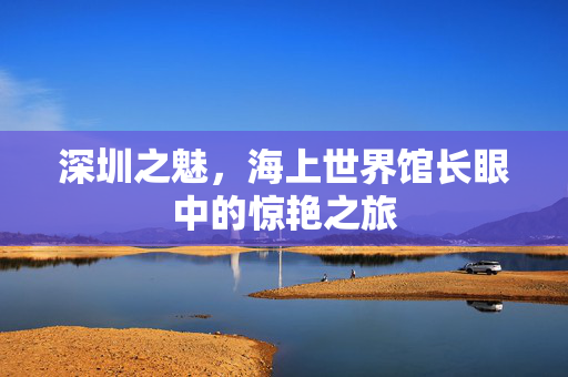 深圳之魅，海上世界馆长眼中的惊艳之旅