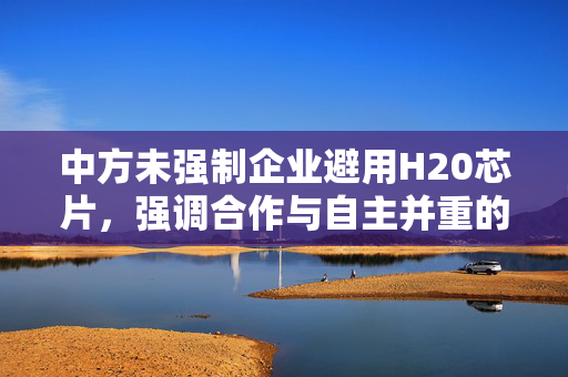 中方未强制企业避用H20芯片，强调合作与自主并重的发展策略
