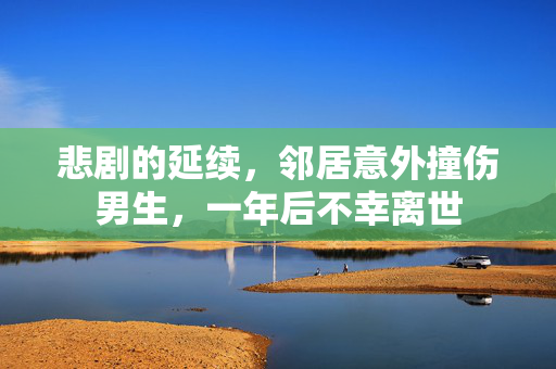 悲剧的延续，邻居意外撞伤男生，一年后不幸离世