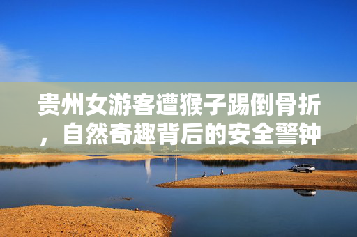 贵州女游客遭猴子踢倒骨折，自然奇趣背后的安全警钟