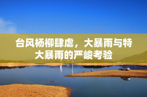 台风杨柳肆虐，大暴雨与特大暴雨的严峻考验