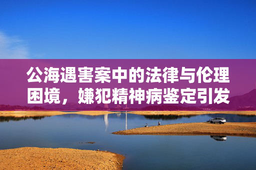 公海遇害案中的法律与伦理困境，嫌犯精神病鉴定引发的争议