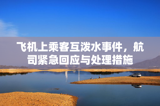 飞机上乘客互泼水事件，航司紧急回应与处理措施