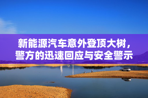 新能源汽车意外登顶大树，警方的迅速回应与安全警示