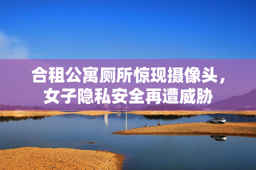 合租公寓厕所惊现摄像头，女子隐私安全再遭威胁