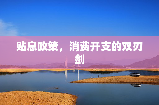 贴息政策，消费开支的双刃剑