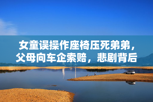 女童误操作座椅压死弟弟，父母向车企索赔，悲剧背后的深思
