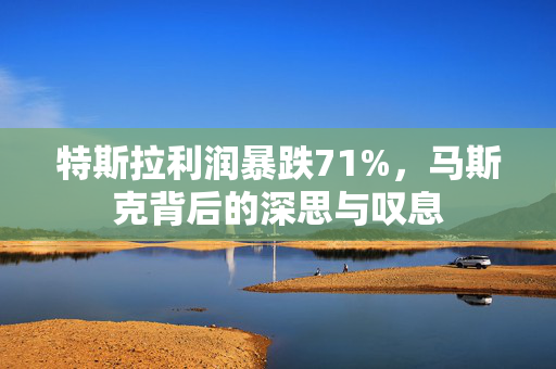 特斯拉利润暴跌71%，马斯克背后的深思与叹息