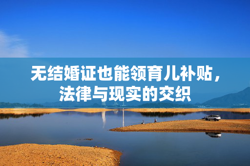 无结婚证也能领育儿补贴，法律与现实的交织