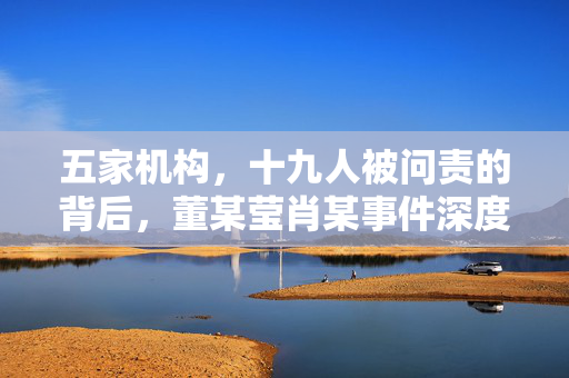 五家机构，十九人被问责的背后，董某莹肖某事件深度剖析