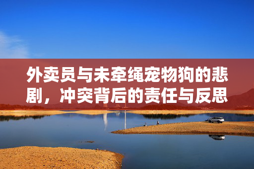 外卖员与未牵绳宠物狗的悲剧，冲突背后的责任与反思