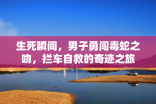 生死瞬间，男子勇闯毒蛇之吻，拦车自救的奇迹之旅