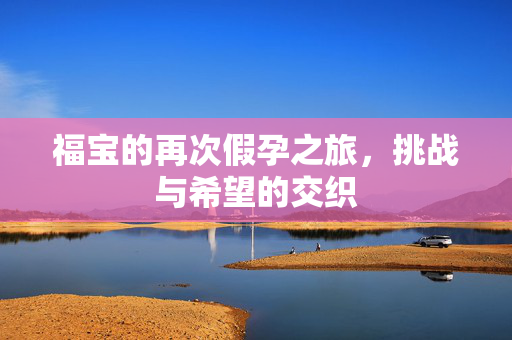 福宝的再次假孕之旅，挑战与希望的交织