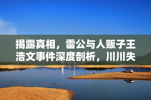 揭露真相，雷公与人贩子王浩文事件深度剖析，川川失踪案的否认与真相探寻
