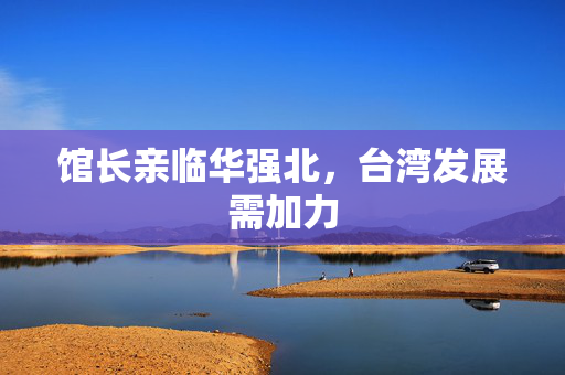馆长亲临华强北，台湾发展需加力