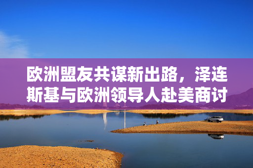 欧洲盟友共谋新出路，泽连斯基与欧洲领导人赴美商讨乌克兰危机解决方案