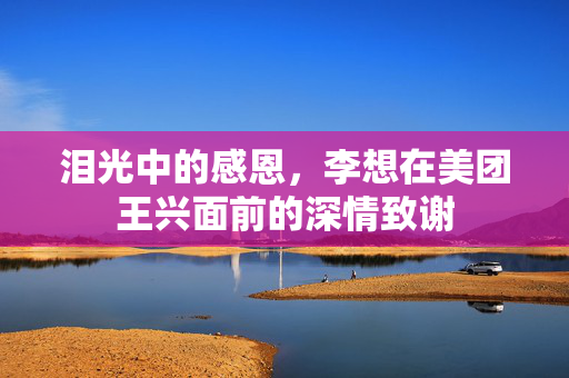 泪光中的感恩，李想在美团王兴面前的深情致谢