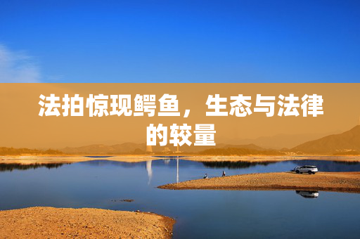 法拍惊现鳄鱼，生态与法律的较量