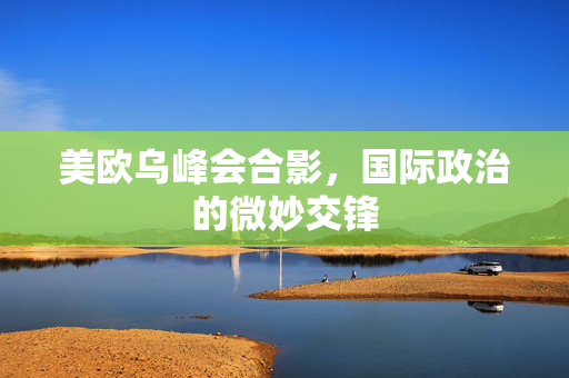 美欧乌峰会合影，国际政治的微妙交锋