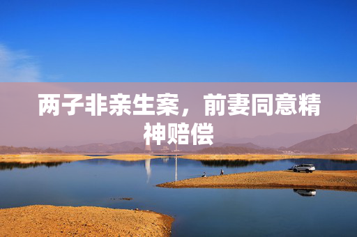 两子非亲生案，前妻同意精神赔偿