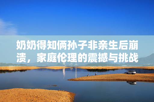 奶奶得知俩孙子非亲生后崩溃，家庭伦理的震撼与挑战