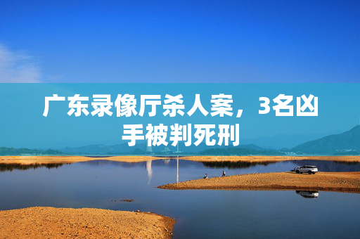 广东录像厅杀人案，3名凶手被判死刑