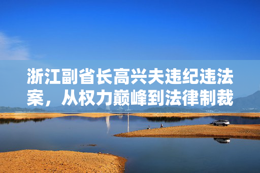 浙江副省长高兴夫违纪违法案，从权力巅峰到法律制裁的警示