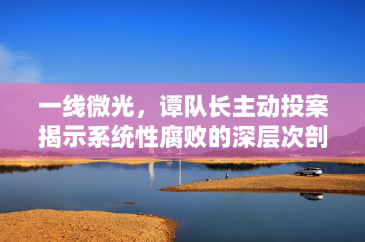 一线微光，谭队长主动投案揭示系统性腐败的深层次剖析