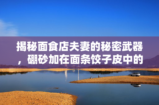 揭秘面食店夫妻的秘密武器，硼砂加在面条饺子皮中的真相