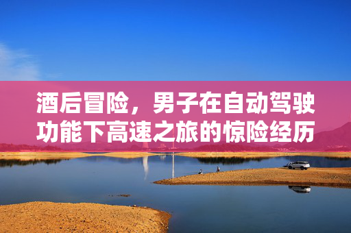 酒后冒险，男子在自动驾驶功能下高速之旅的惊险经历