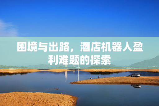 困境与出路，酒店机器人盈利难题的探索