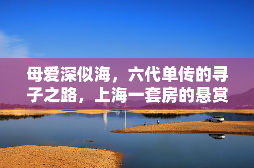 母爱深似海，六代单传的寻子之路，上海一套房的悬赏背后