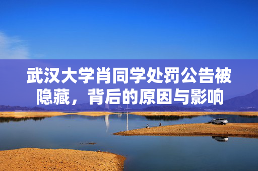武汉大学肖同学处罚公告被隐藏，背后的原因与影响