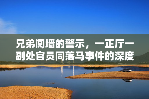 兄弟阋墙的警示，一正厅一副处官员同落马事件的深度剖析