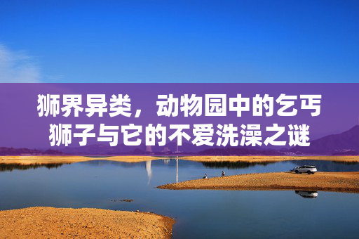 狮界异类，动物园中的乞丐狮子与它的不爱洗澡之谜
