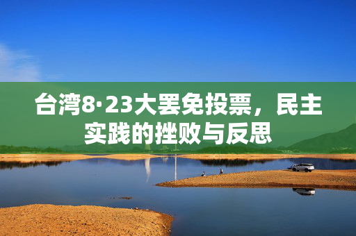 台湾8·23大罢免投票，民主实践的挫败与反思
